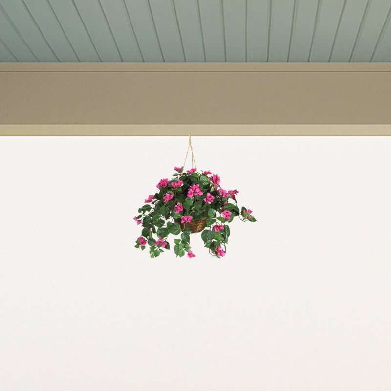 Panier suspendu Bougainvillea