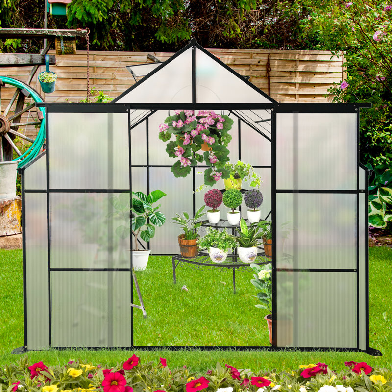 Serre de jardin robuste pour plantes - extérieur noir 8 x 8 pi avec base galvanisée