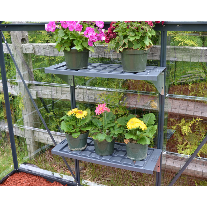 Palram - Canopia Greenhouse Shelf Kit