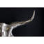 Rodeo Wall Décor