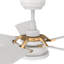 Ventilateur de plafond standard à DEL à 5 pales de 52 po avec télécommande et ensemble d'éclairage inclus.-41150283