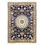 Ramee Hand Woven Cotton and Wool Oriental Area Rug