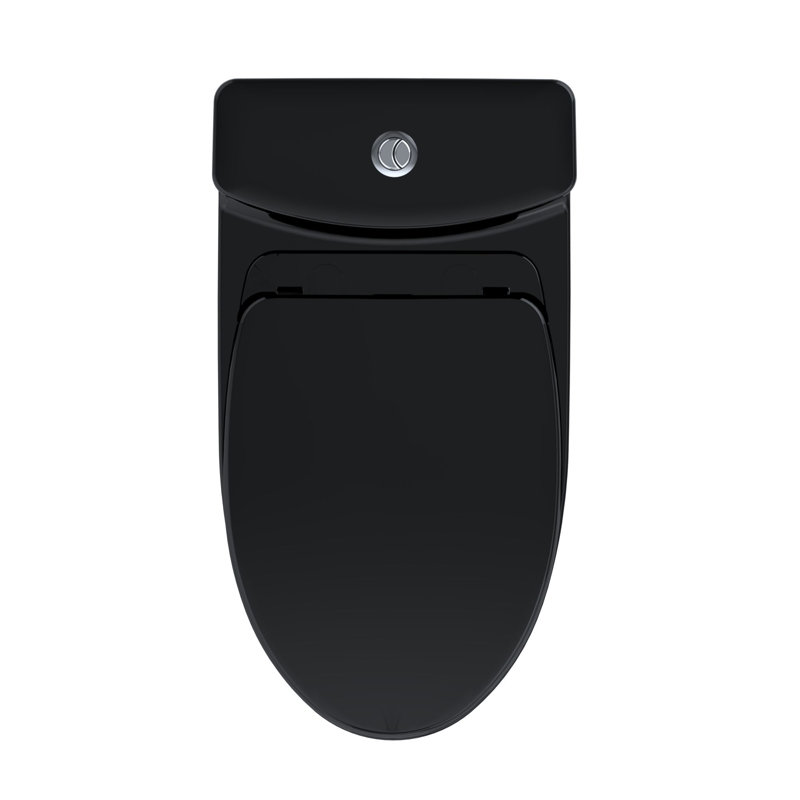 Aquia® Dual-Flush Elongated One-Piece Toilet with Tornado Flush (Seat Included)