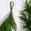 Guirlande Norfolk-1827534268-1827534247