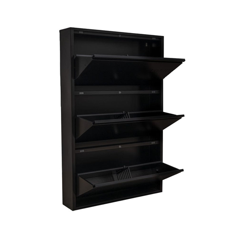 Cathelene 6 Pair Shoe Storage Cabinet, Black