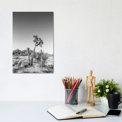 Joshua Tree National Park Monochrome by Melanie Viola - Wrapped Canvas Print