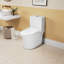 JuteJasper 1570504723FDAAC 1 GPF Round Comfort Height Chair Height Toilet