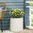 MGO PLANTER
