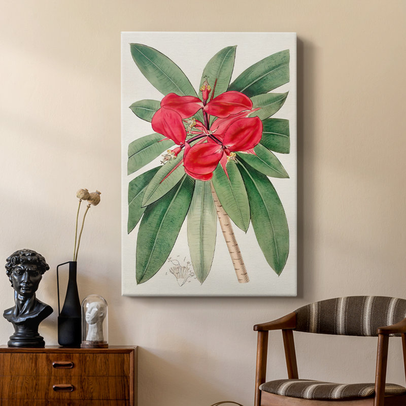 Flora Of TheTropics III - Cavas de galerie sur mesure, H 18 po x l 12 po