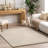  Eudora Contemporary Solid Area Rug-2007514576