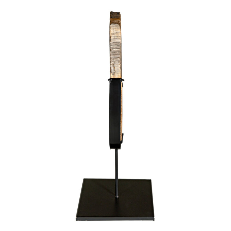 Fossil With Stand Sculpture