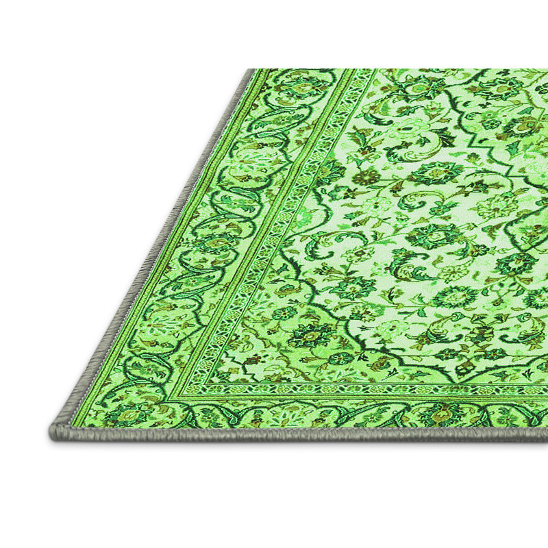 Mesiah Washable Oriental Indoor Rug, Rectangle 5' x 7'