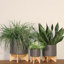 Pot à fleurs en céramique avec support Modern Modern-2016597977-2016597955-2128106332