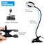Cambrya Desk Lamp-1466138872