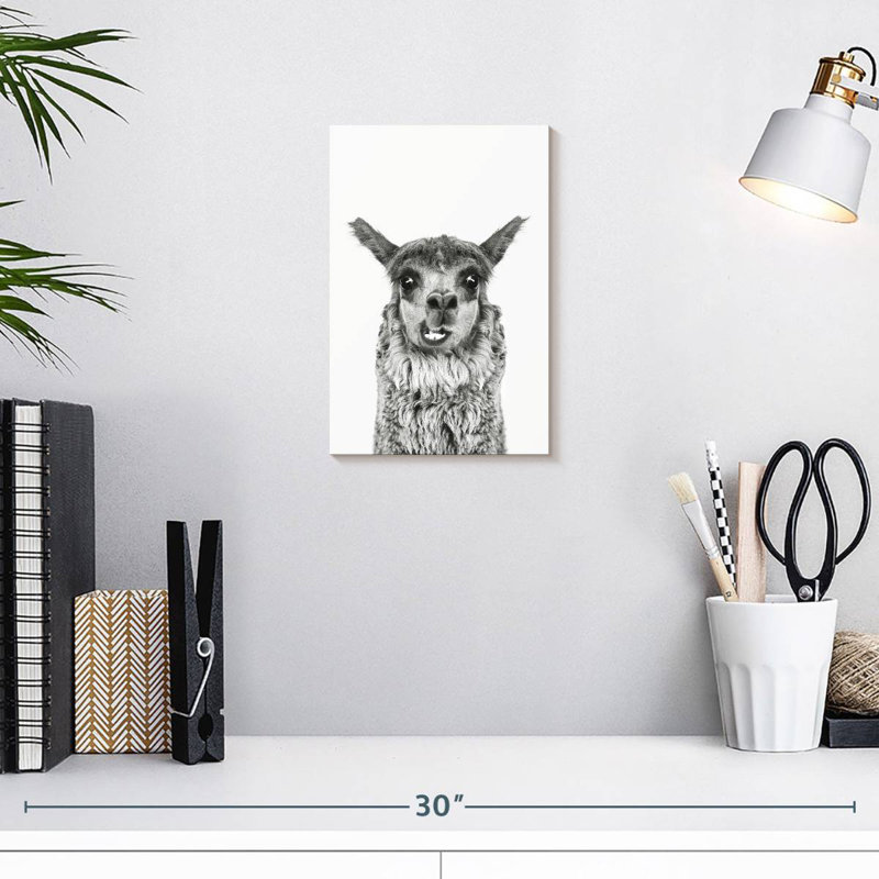 Brampt Happy Alpaca In Black And White, 12" H x 8" W