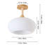 Glass Semi Flush Mount