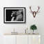 Majestic Lion Illustration in Abstract - Picture Frame Graphic Art Print-55760859-55760853