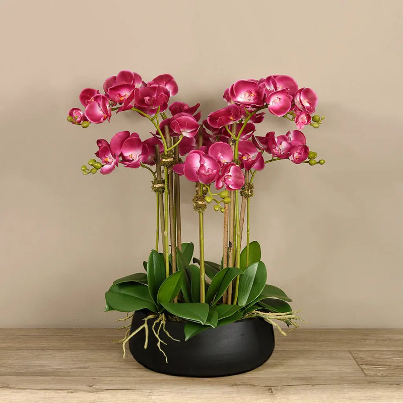 Orchid Floral Arrangement in Planter, Pink, 29" x 22", Black