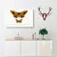 Emperor Moths Illustrations by Charles D' Orbigny - Wrapped Canvas-55370771