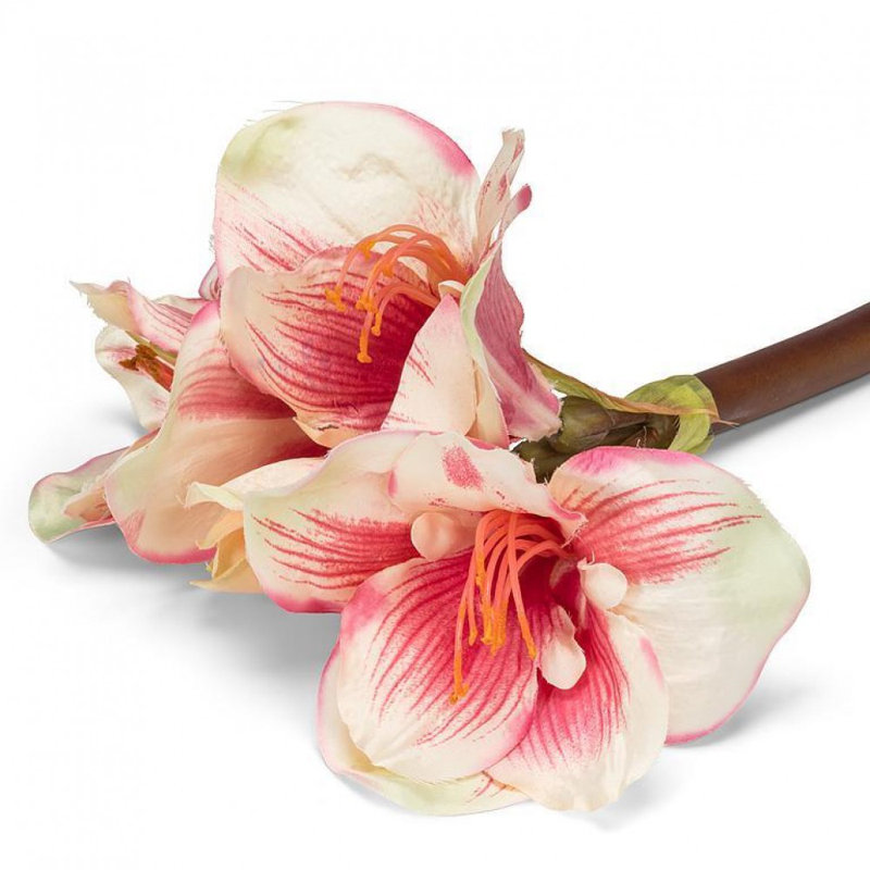 Amaryllis avec 4 fleurs artificielles, Rose