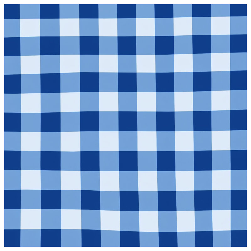 Rideaux de douche en vichy bleu et blanc très longs, 70in W x 72in H