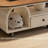 Ine-226306164-226306165