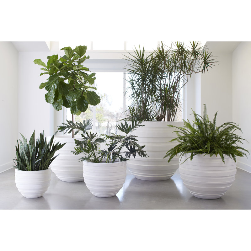 Pot à fleurs en résine June, H 22 po x l 27 po x P 27 po
