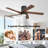 5 Solid Wood Blades Indoor Ceiling Fan With Light Kit And Remote Quiet DC Motor-458786180-437134177