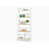White is out of stock selected