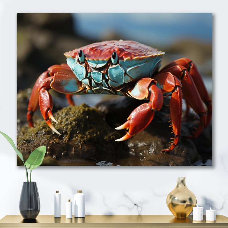 Crab Coastal Scavenger - Animals Wall Decor, Toile tendue, H 34 po x l 44 po x P 1,5 po