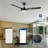 Gailyn 52'' Ceiling Fan with LED Lights