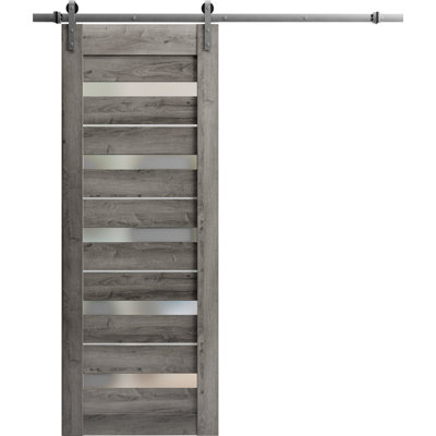 Porte de grange robuste en verre dépoli Quadro 4445 Gris Nebraska, rail de 2 m (6,6 pi), quincaillerie lourde, portes intérieures à panneaux pleins - 81 cm x 244 cm (32 po x 96 po) - Rail argenté