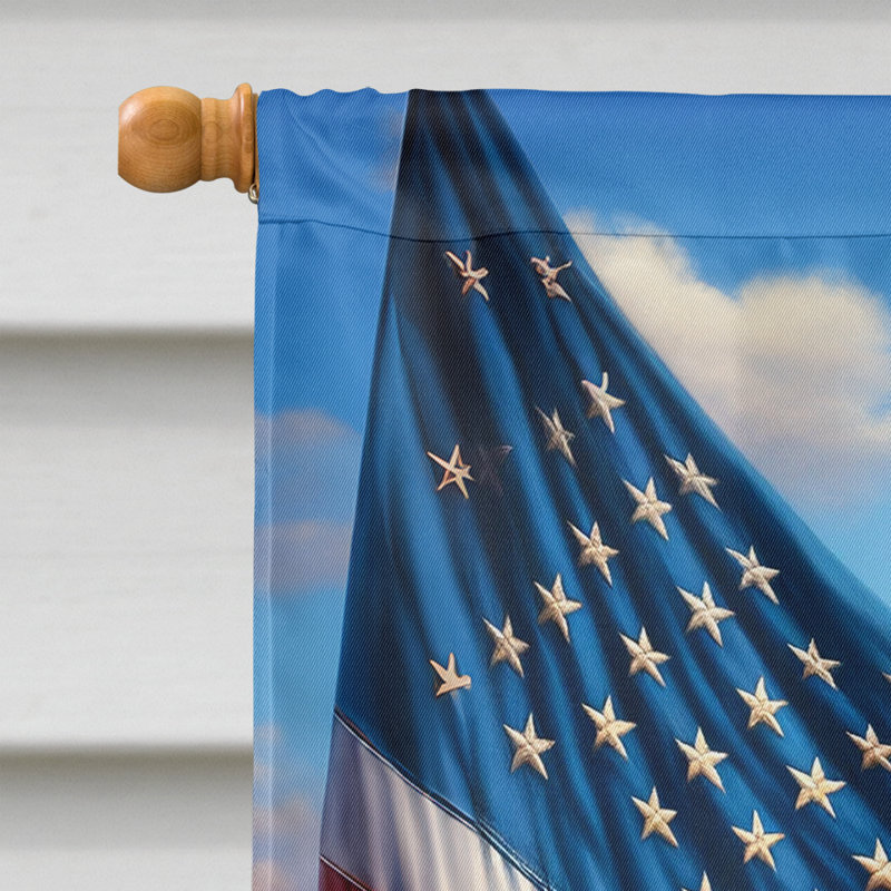 Drapeau «All American House», Malamute d’Alaska