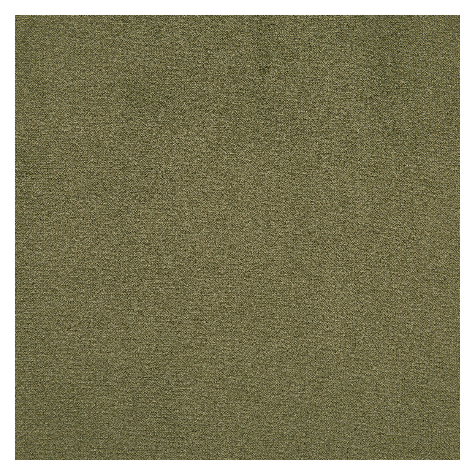 Cathline Dining Chair, Green