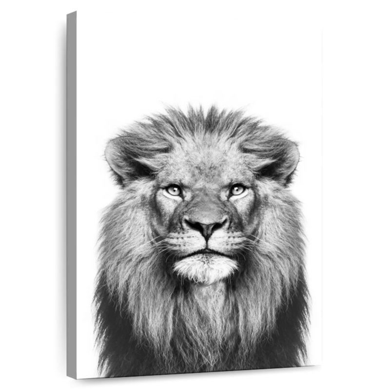 Lion majestueux en noir et blanc, H 12 po x l 8 po