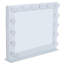Dashel Metal Flat Floor Mirror