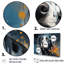 «Dalmatian Dream IV», reproduction sur toile-688835034-688835029