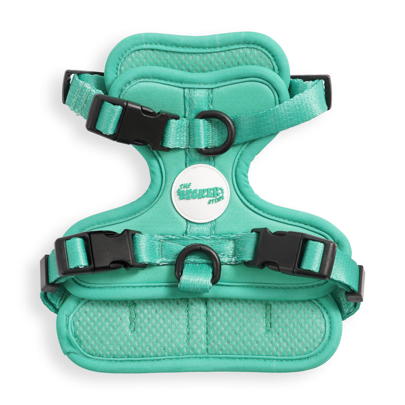 Harnais pour animal de compagnie Arlo, Extra Small, Émeraude