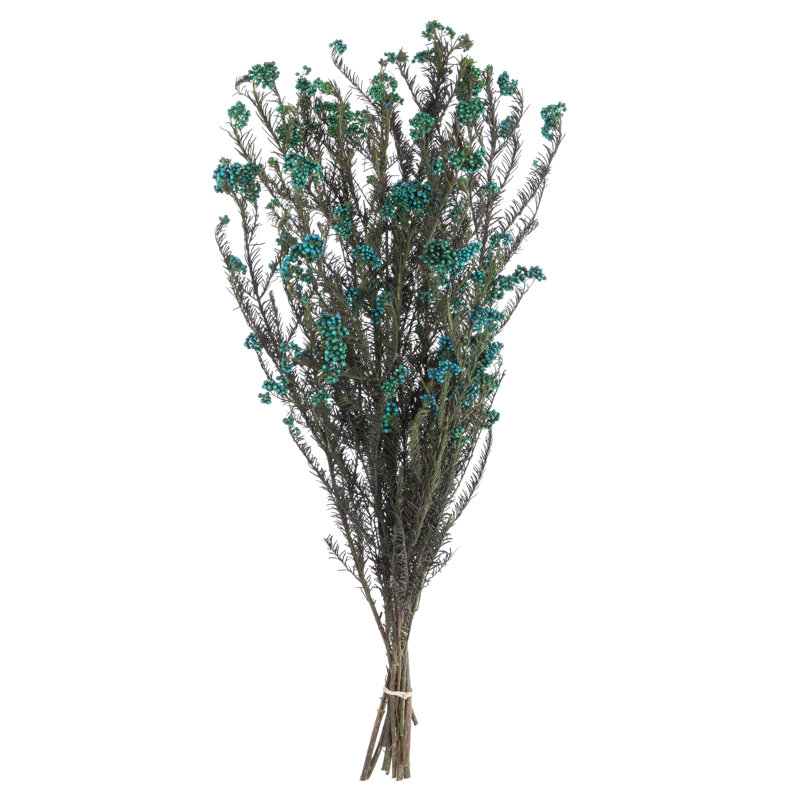 Fleur de riz entièrement naturelle 16 po, conservée 4,25 oz, Bleu
