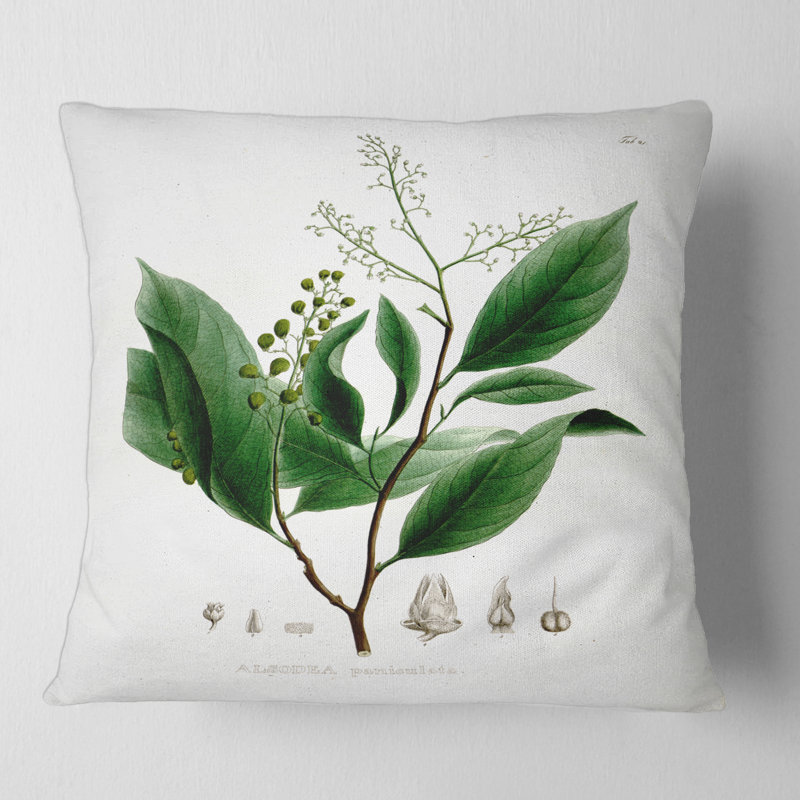 Plante brésilienne rétro II - coussin traditionnel imprimé, 18" x 18"