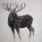Bull moose - 32"x32" art on canvas