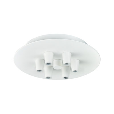 6 Light Multi Port Canopy