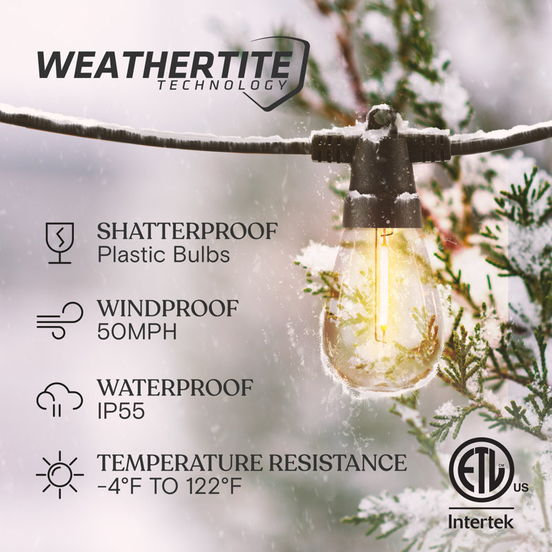 Brightech Ambience Pro Solar - Super Bright 48Ft Remote Control Outdoor String Lights