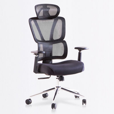 Office Chair With Adjustable Lumbar Support, Tilt Lock, 3D Armrests by Brayden Studio