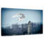 Hibou des neiges Brampt Winter IV-107708702