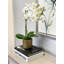 Arrangement d'orchidées en pot Polysilk