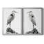 Shoreline Heron in B&W I, reproduction encadrée de qualité supérieure - prête à être accrochée-1847980977-1847980975