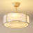 19'' Modern Ceiling Fan With Light