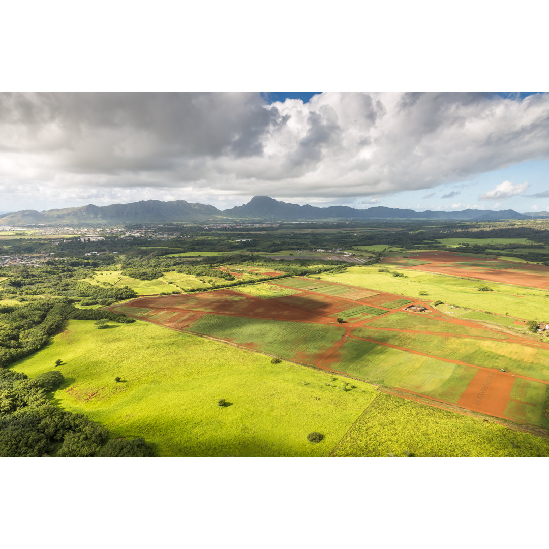 Aerial View Of Cultivated Land von Onfokus - No Frame Kunstdrucke auf Leinwand