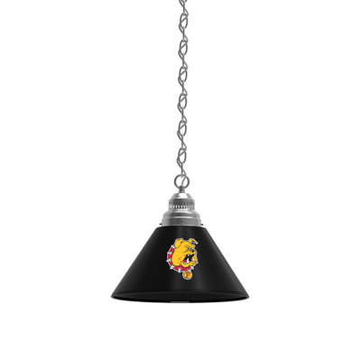 1 - Light Single Pendant